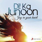 Dil Ka Junoon - Joi Barua Song Download